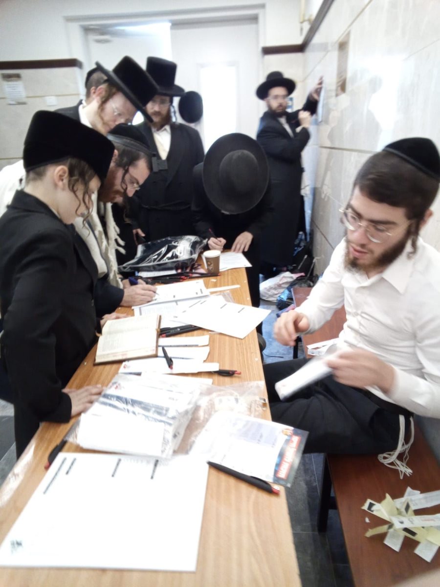 תורמים מח עצם. השבוע