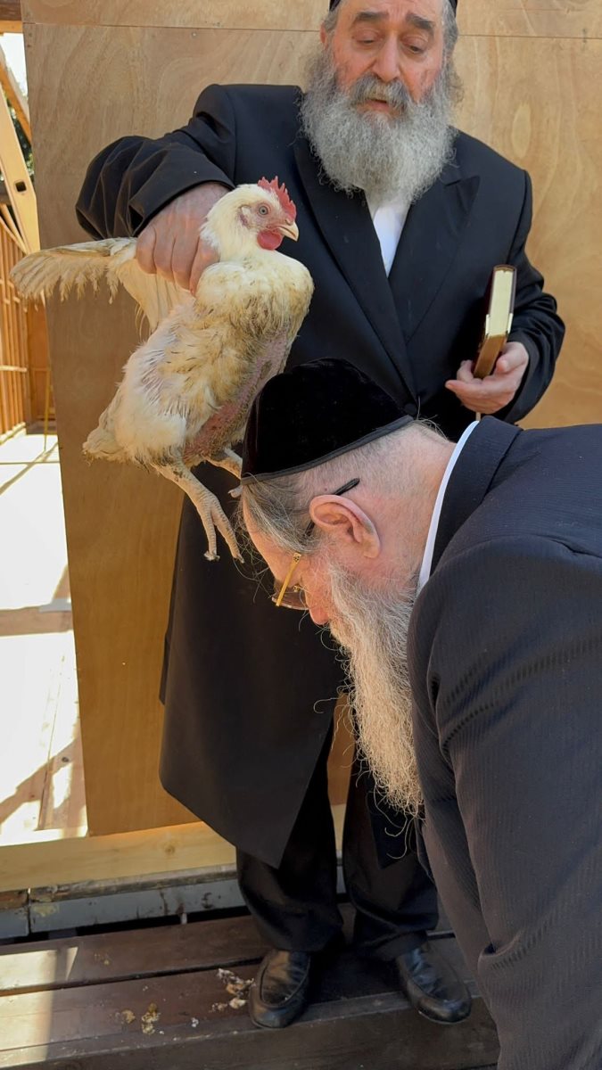 האדמור רבי יקותיאל עורך כפרות לאיש החסד הרב גשייד. המצלם