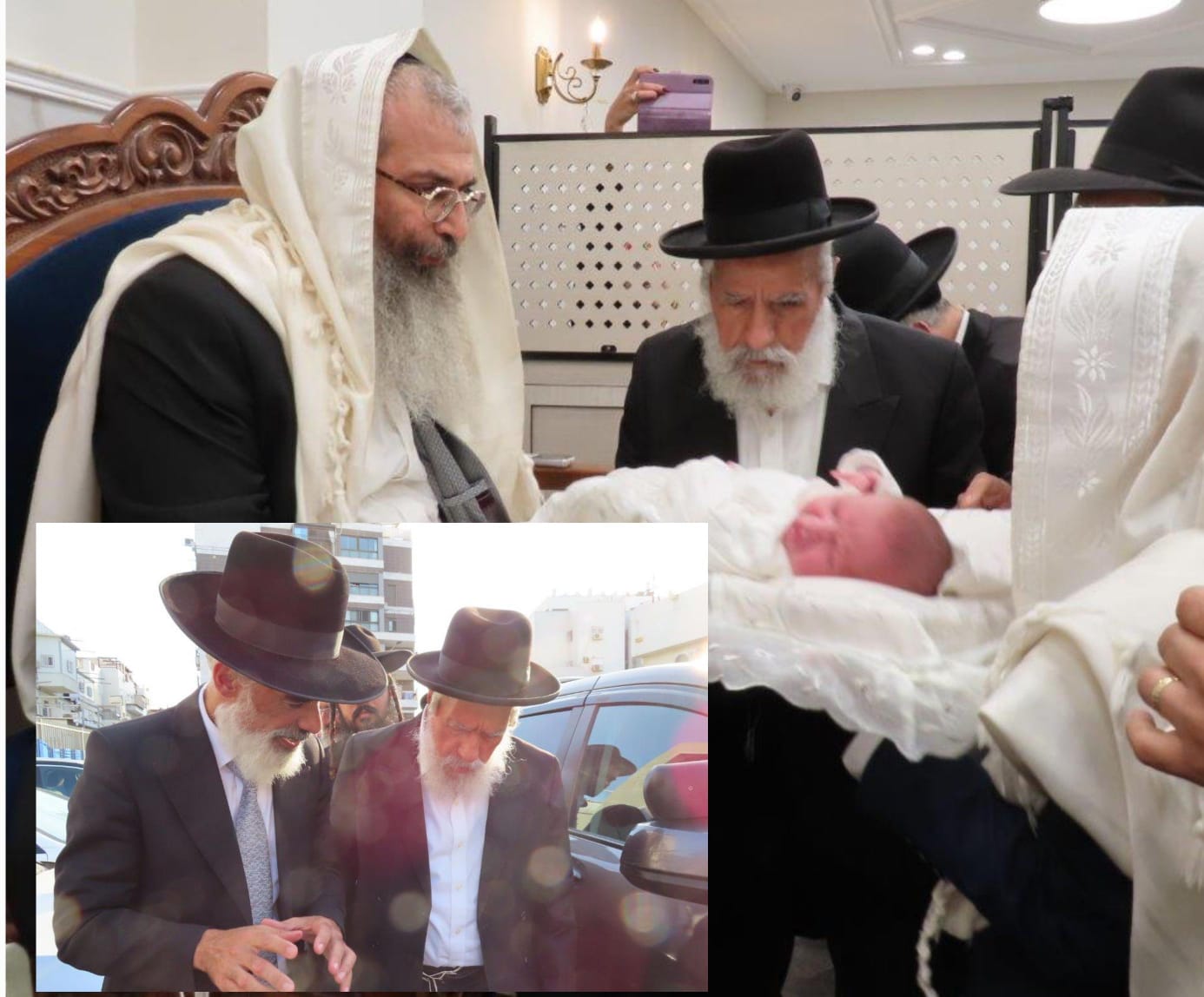 צילום: א. מיכאלי