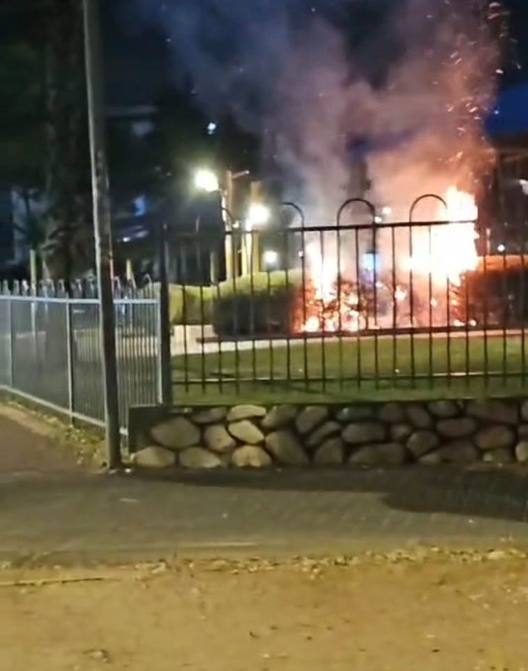 מתוך הסרטון