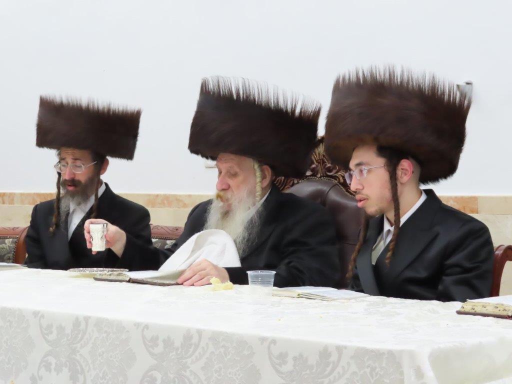 צילום: א. מיכאלי