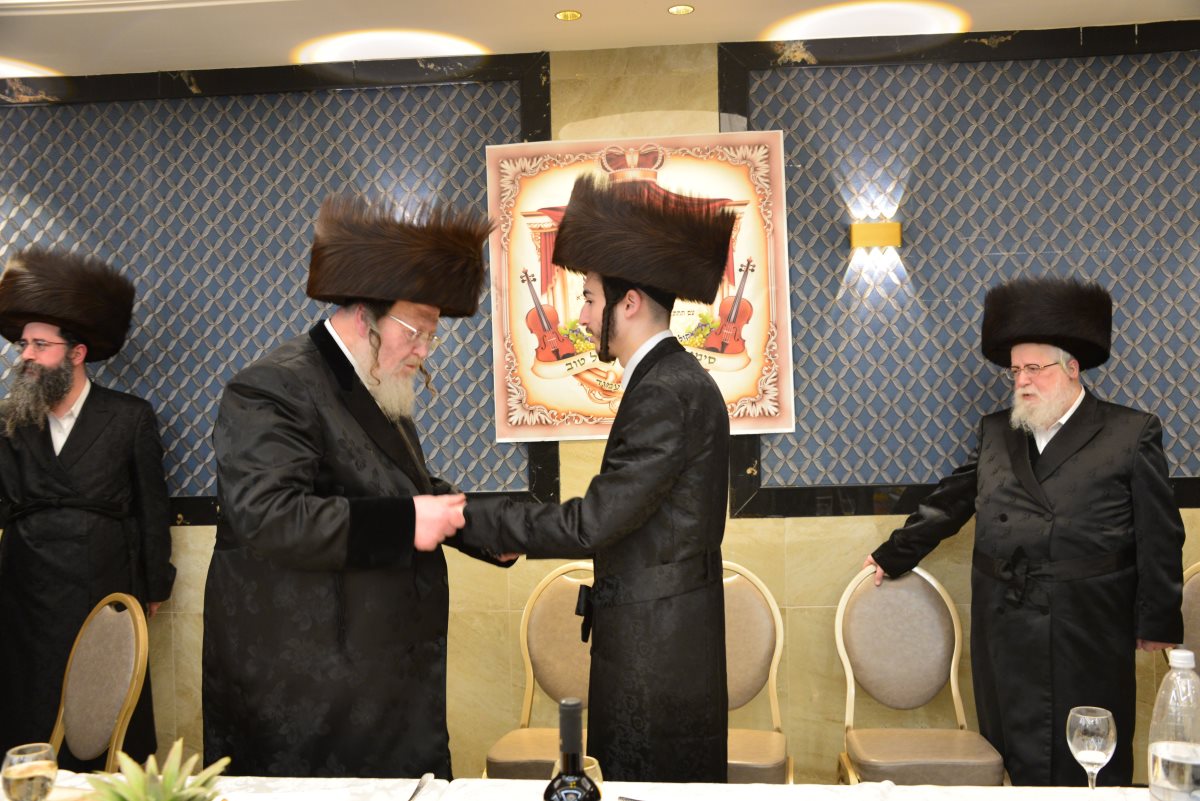 טיש טו בשבט ביאלא. מוסדות ביאלא פשיסחא