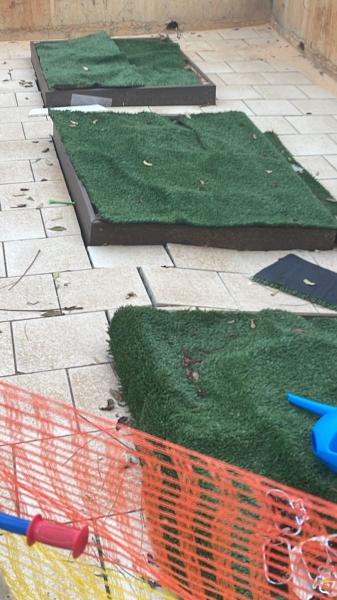 חצר אשכול הגנים