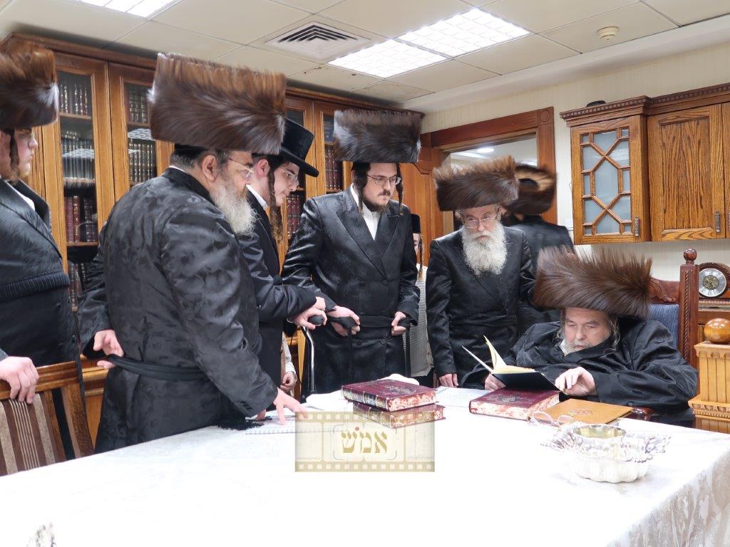 צילום: א.מ.ש