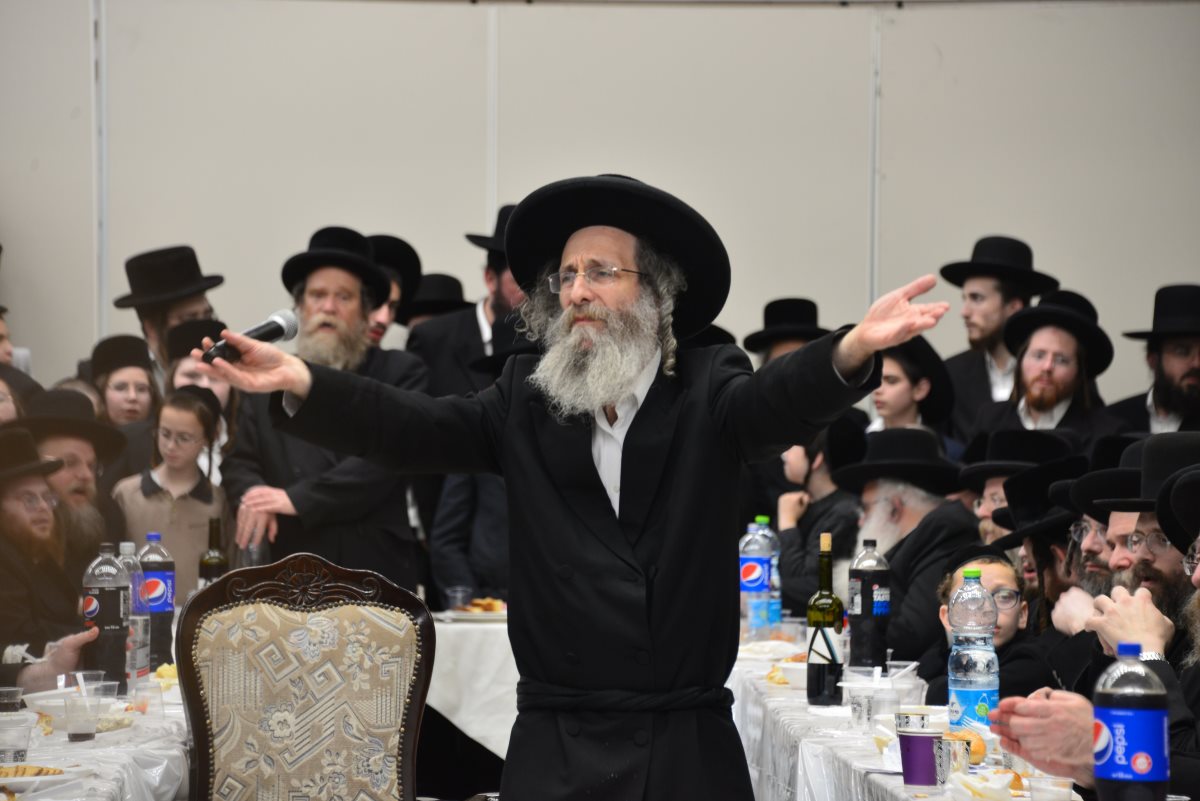 רבי אלימלך בידרמן בפורים קטן. יוסי לוי