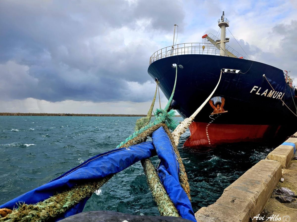 צילום: מני בן הרוש