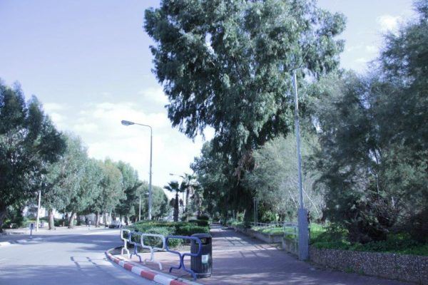 מחלף בשירות העירוב. הרב קלמנוביץ. יוסי לוי