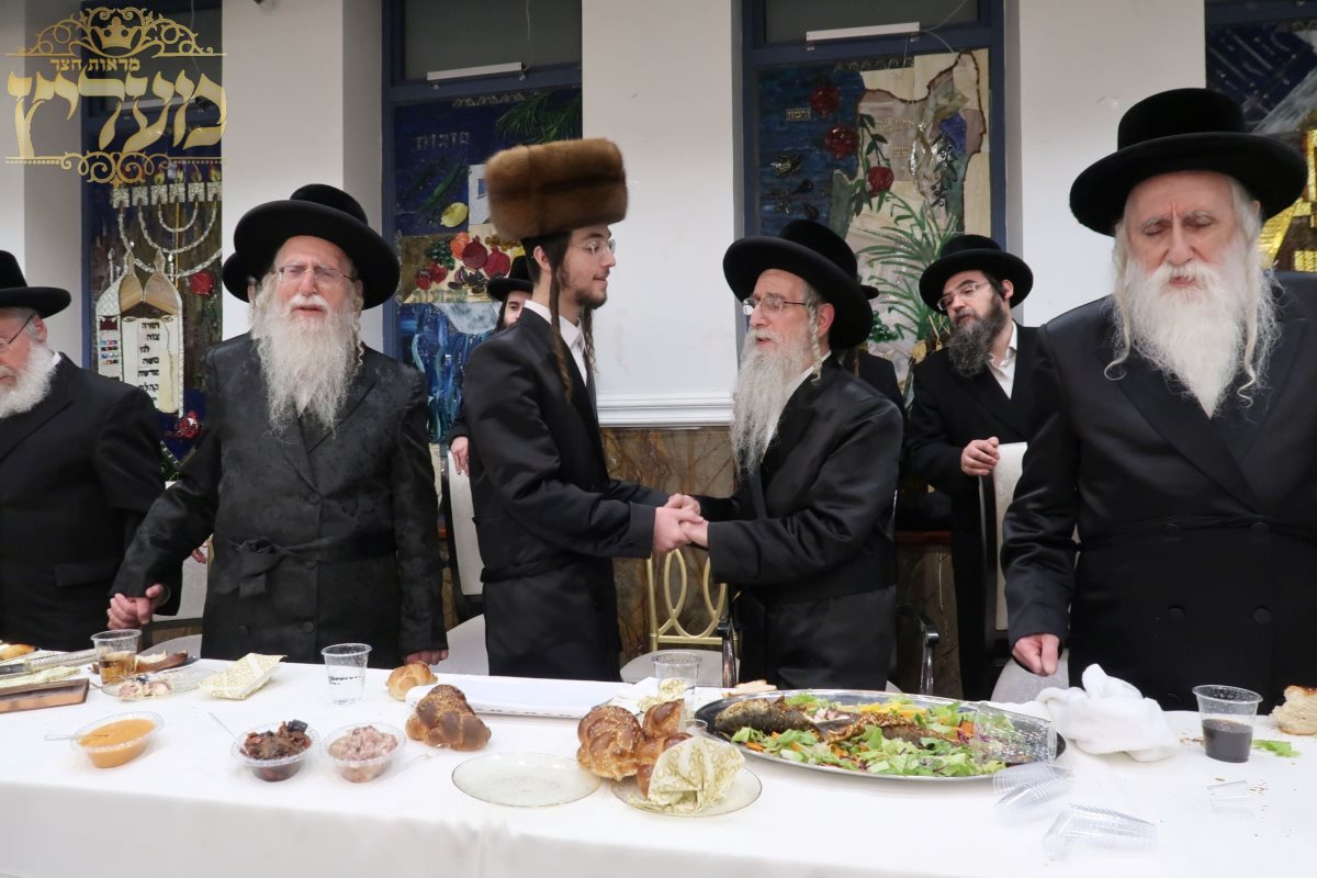 השמחה בחצרות מעליץ מאקאווא. איציק ו. 