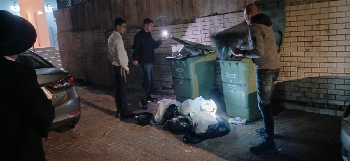 מחפשים את הנחש, היום ברובע ט'. א' מיכאלי