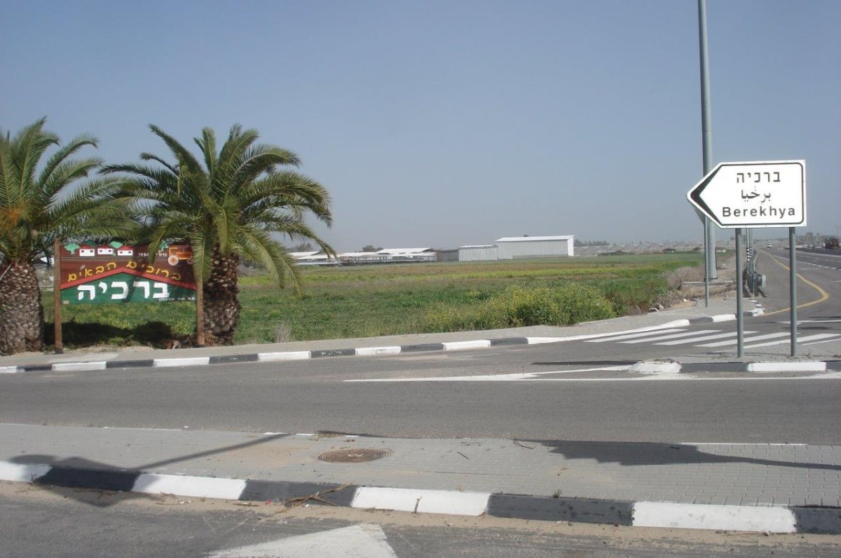 צילום: א. מיכאלי