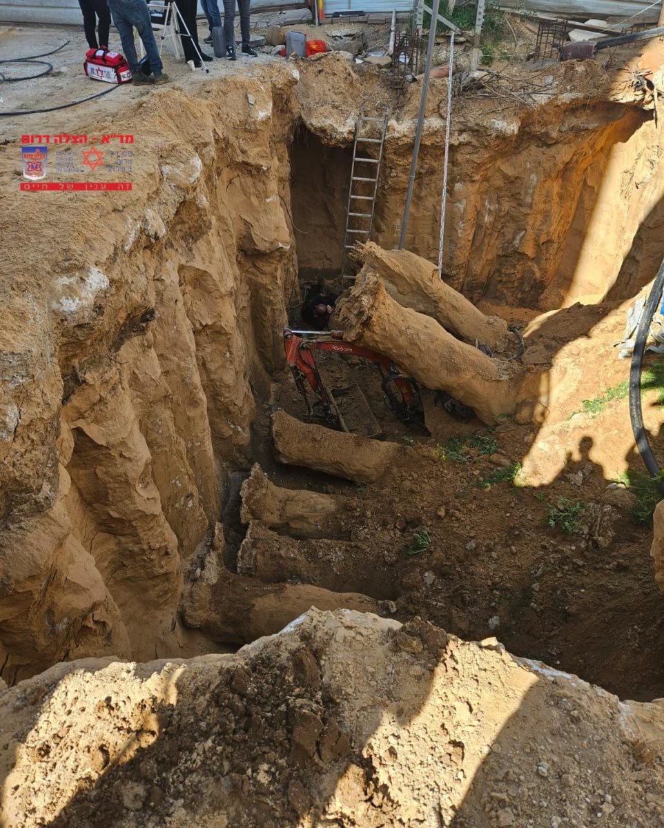 צילום: מד&quot;א