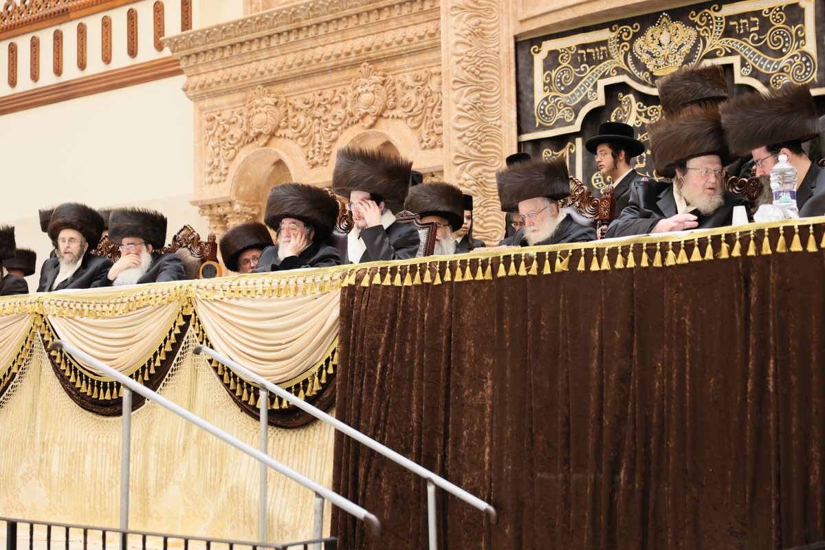 שמחת בית ביאלא פשיסחא. מוסדות ביאלא פשיסחא