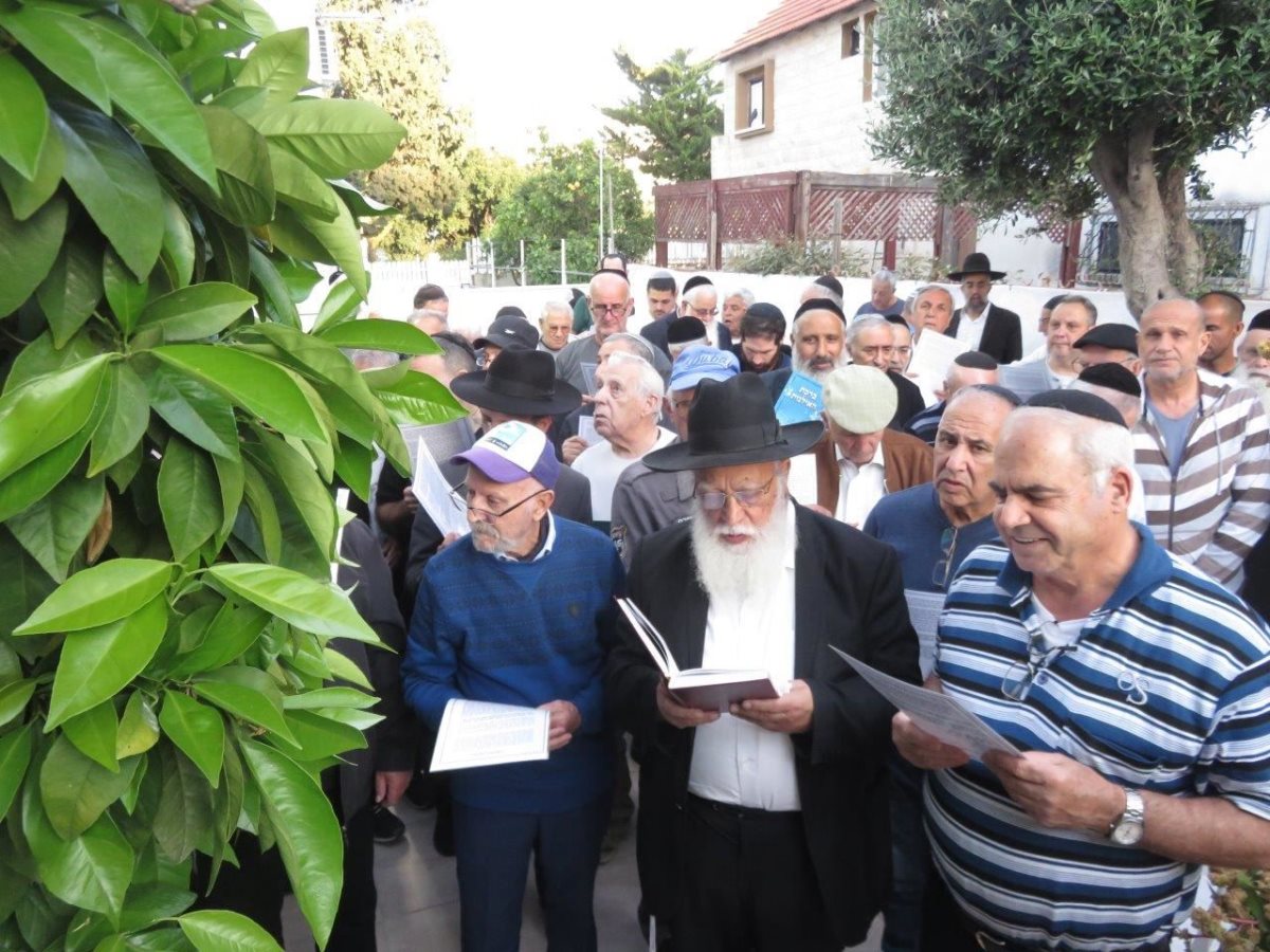 ברכת האילנות עם הגר&quot;מ כהן. א&#39; מיכאלי