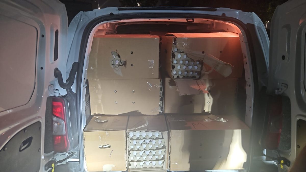 צילום: עיריית אשדוד