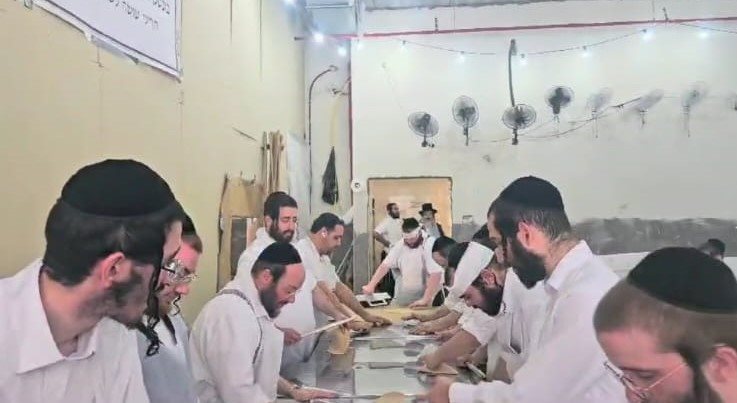 צילום: באדיבות המצלם