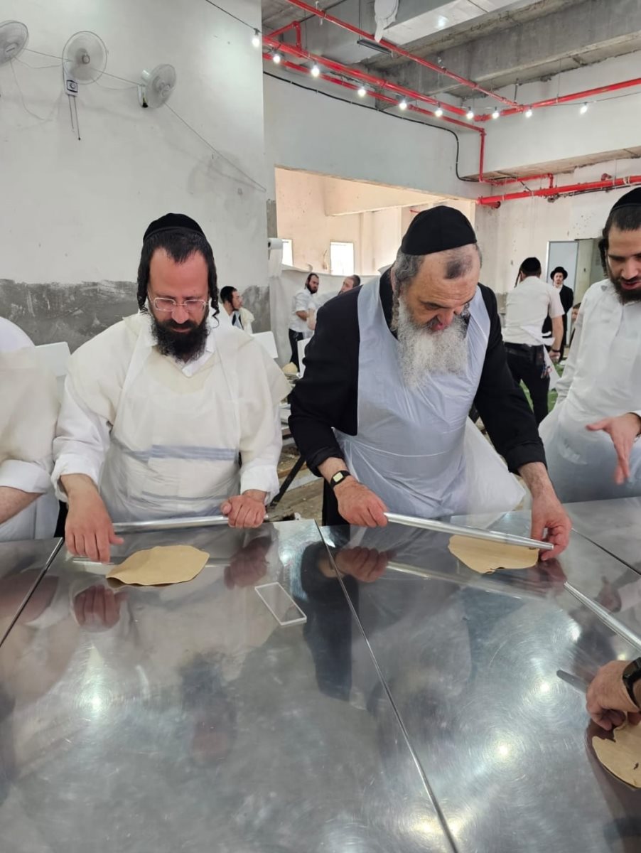 צילום: באדיבות המצלם