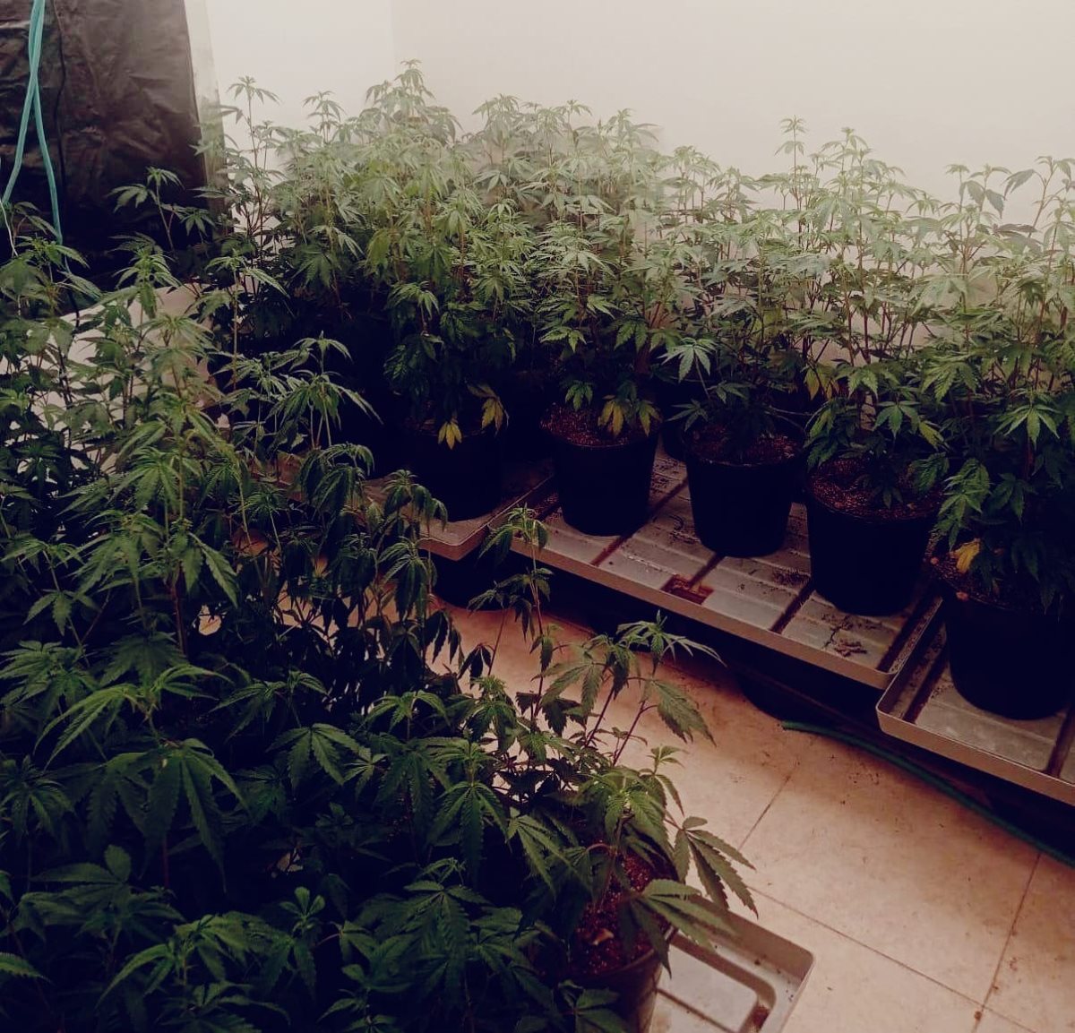 צילום: דוברות המשטרה