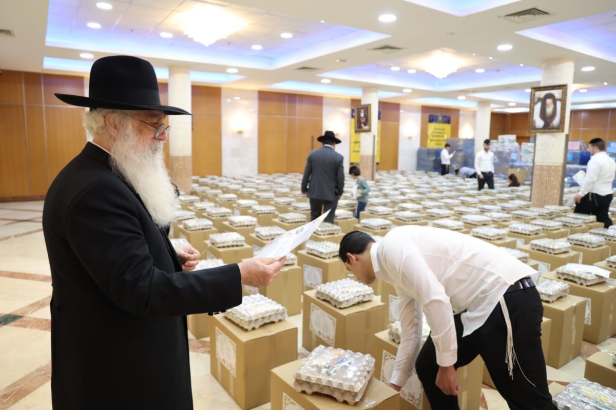 צילום: א. מיכאלי