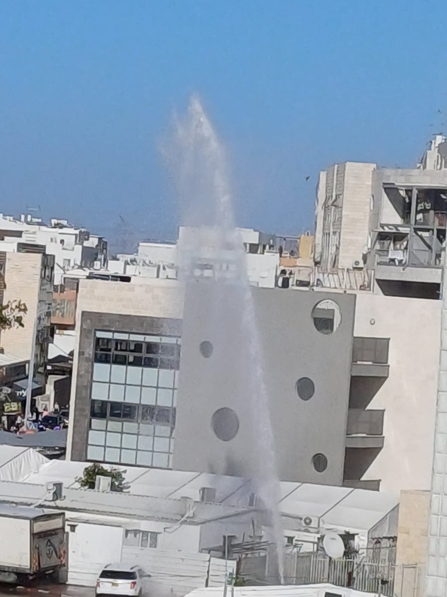 הגייזר ברובענז. יהושע פרוכטר