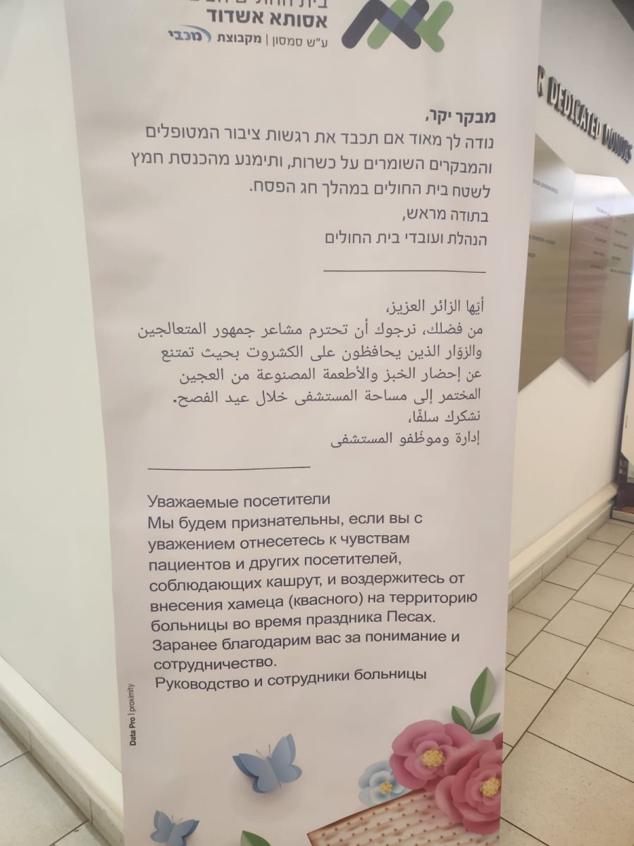 צילום: באדיבות המצלם