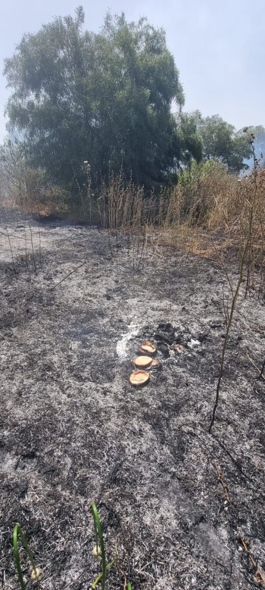 צילום: כבאות והצלה אשדוד