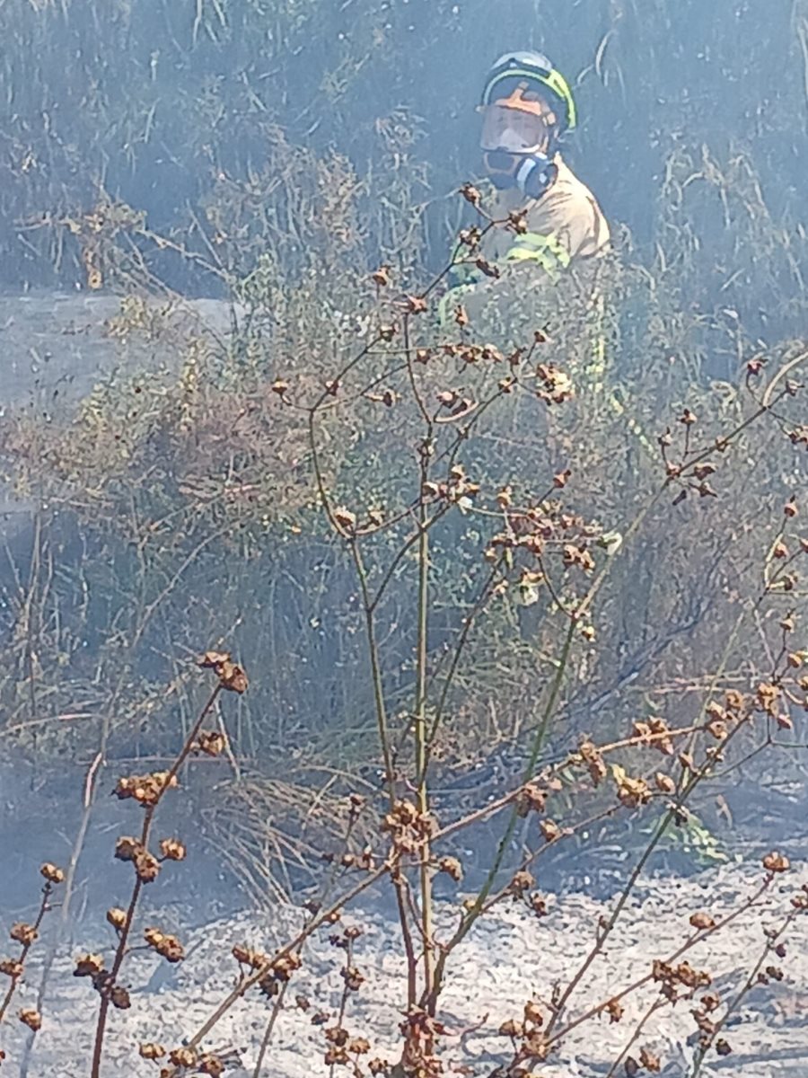 צילום: כיבוי והצלה אשדוד