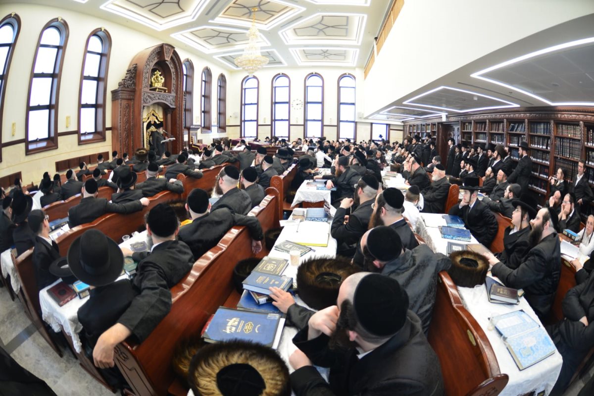 שיעורי תורה מעגלים. יוסי לוי