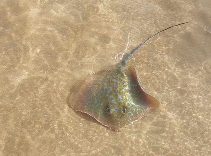 צילום: ליאור נחום