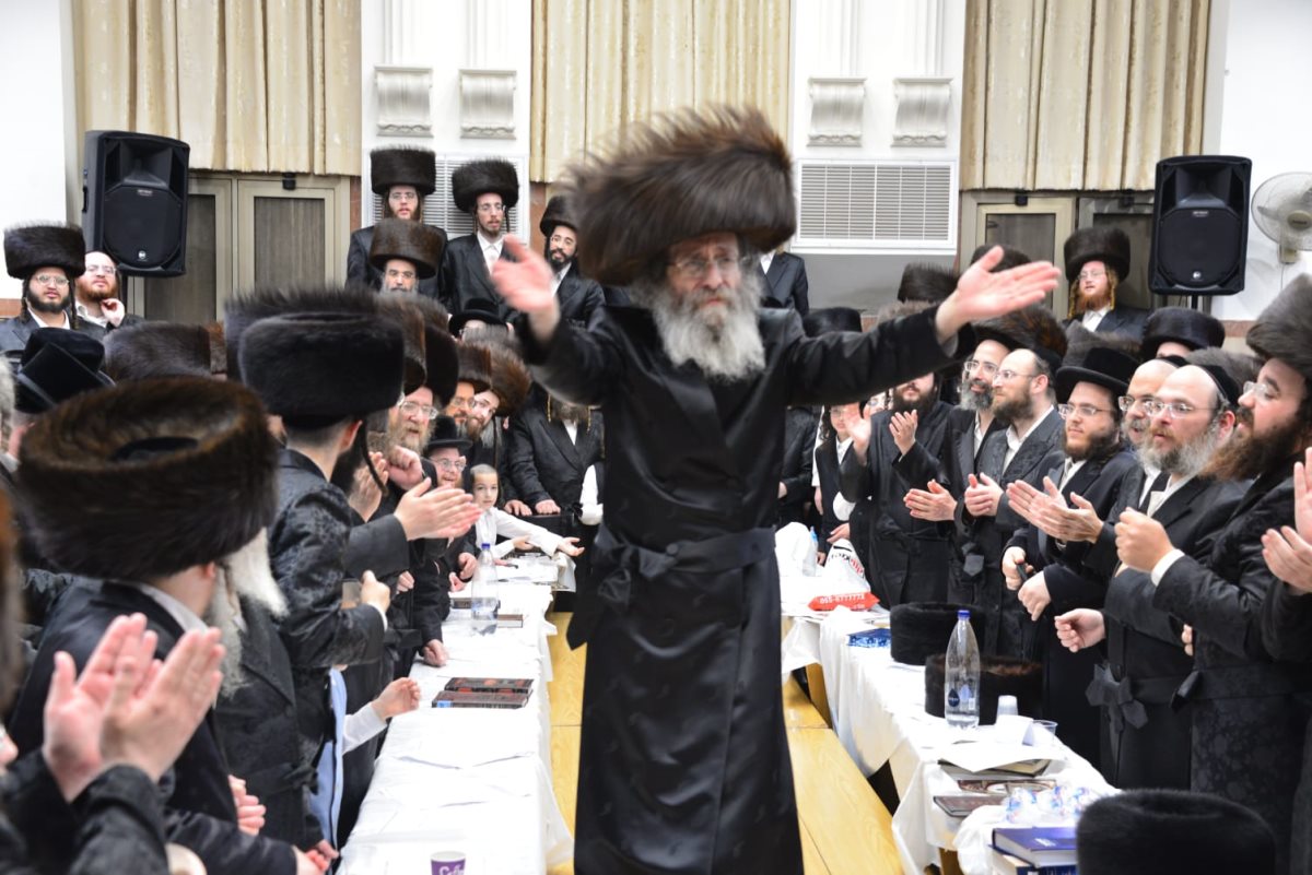 צילום: יוסי לוי