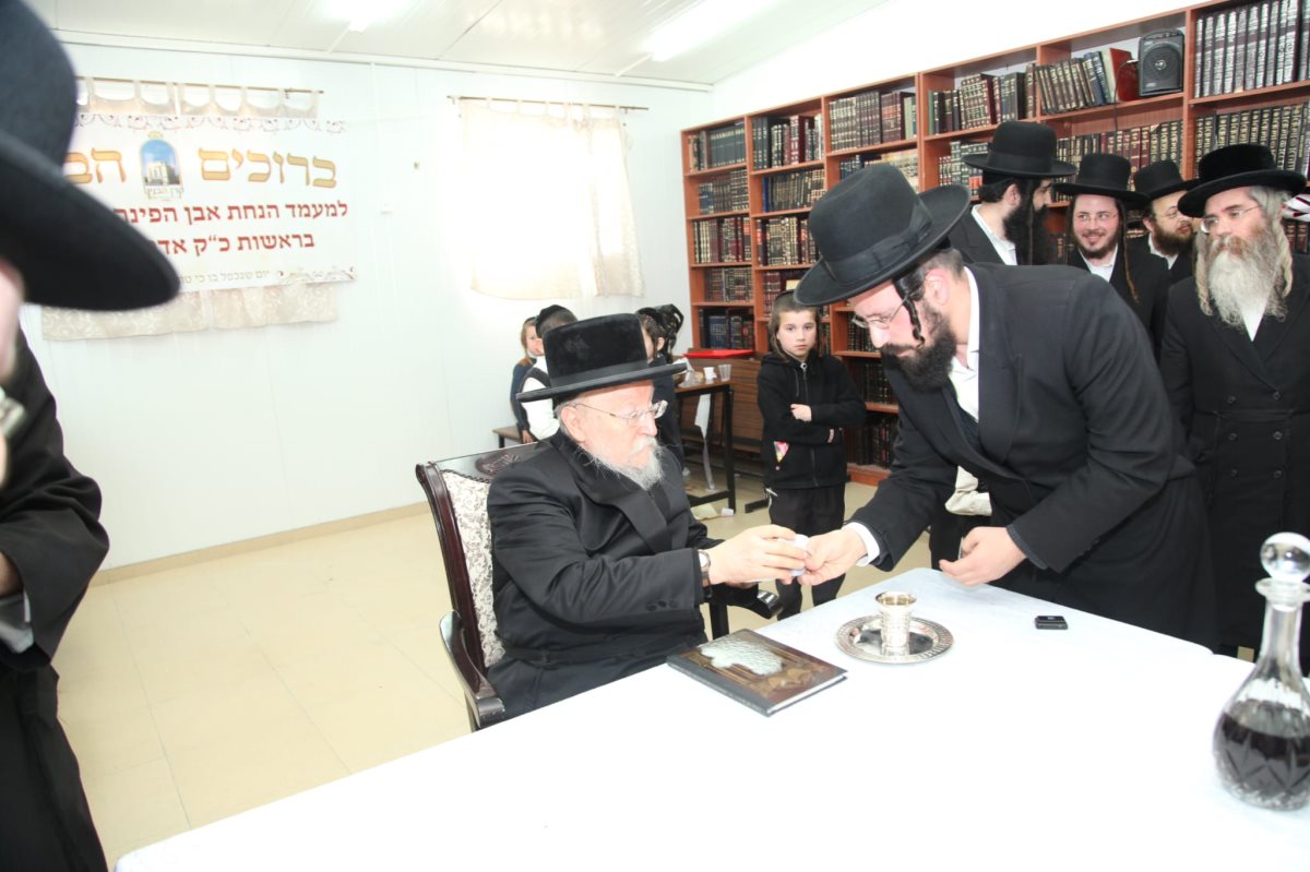 צילום: א. מיכאלי