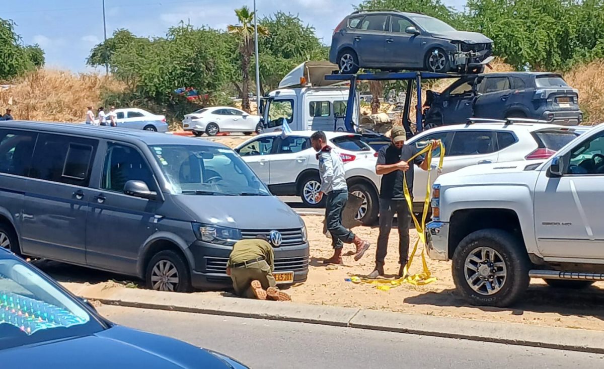 צילום: א. מיכאלי