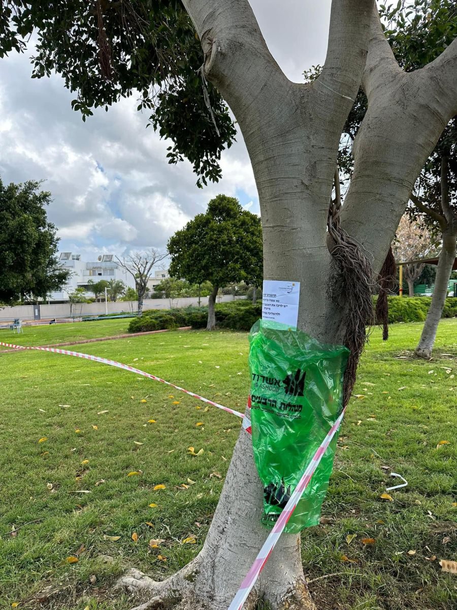 צילום: עירית אשדוד