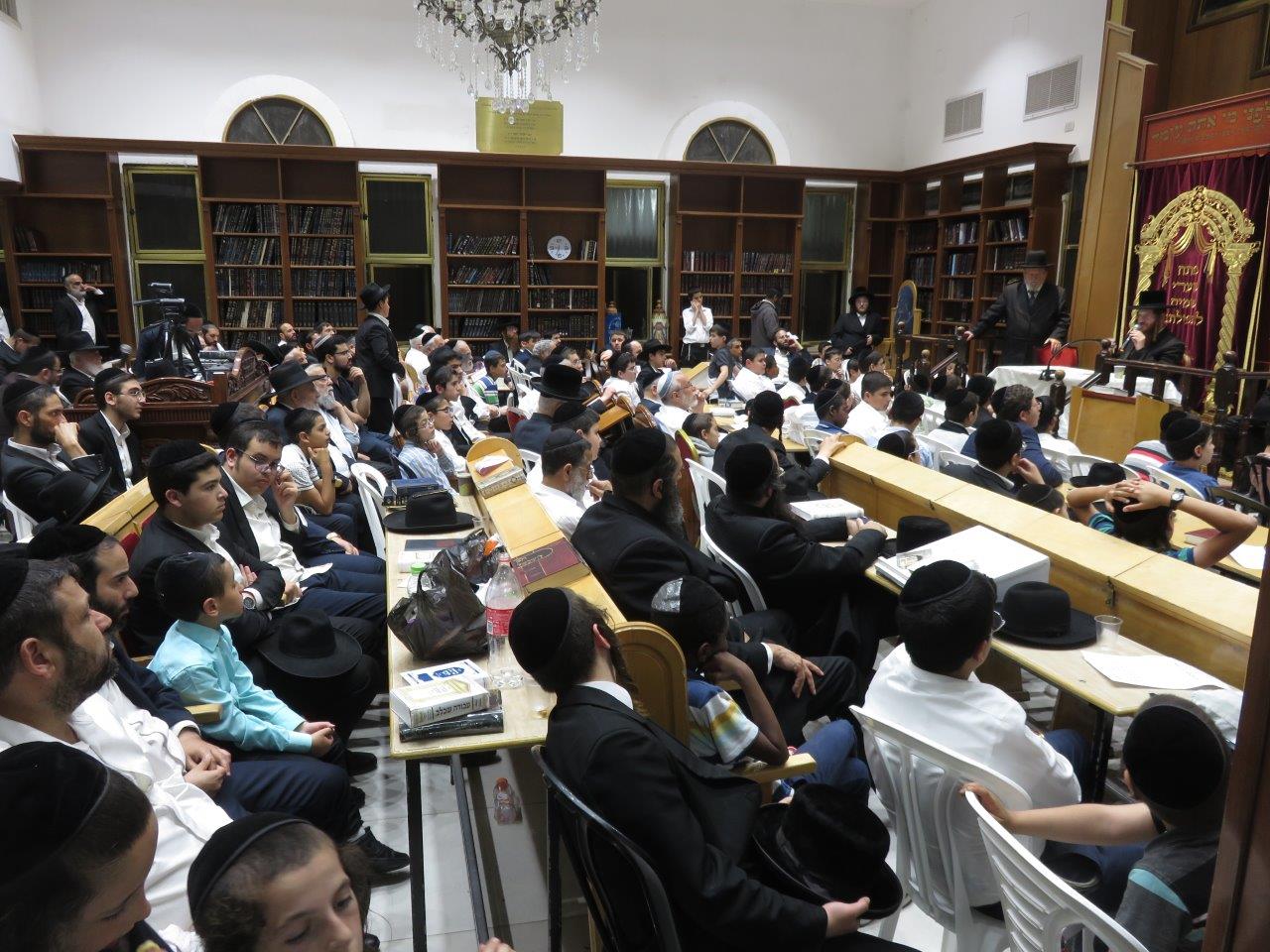 צילום: א. מיכאלי