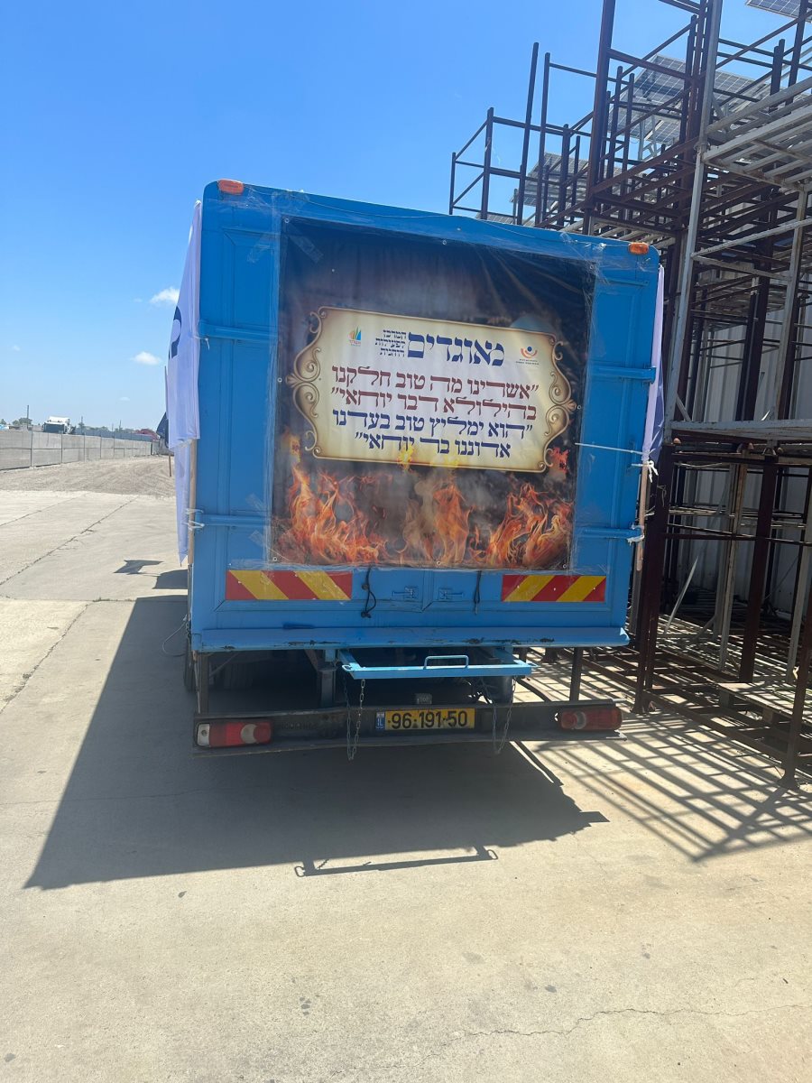 הגלידריה. מאוגדים