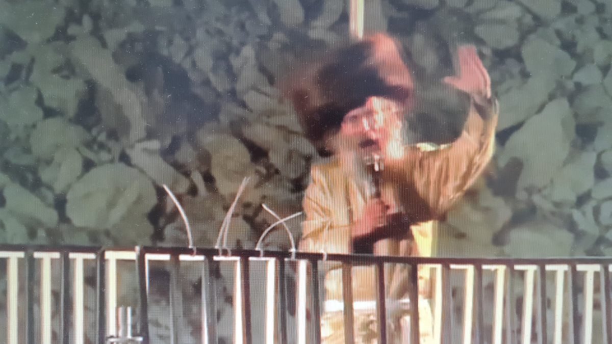 צילום: באדיבות המצלם