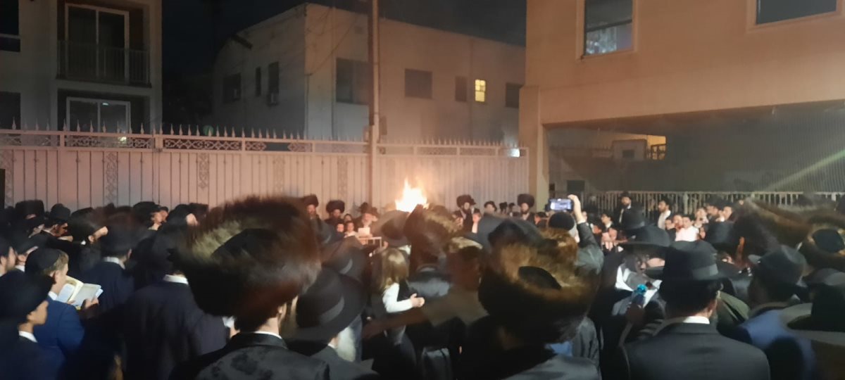 צילום: באדיבות המצלם