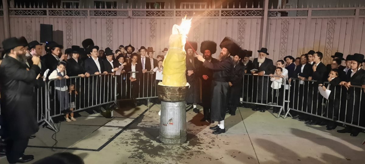 צילום: באדיבות המצלם