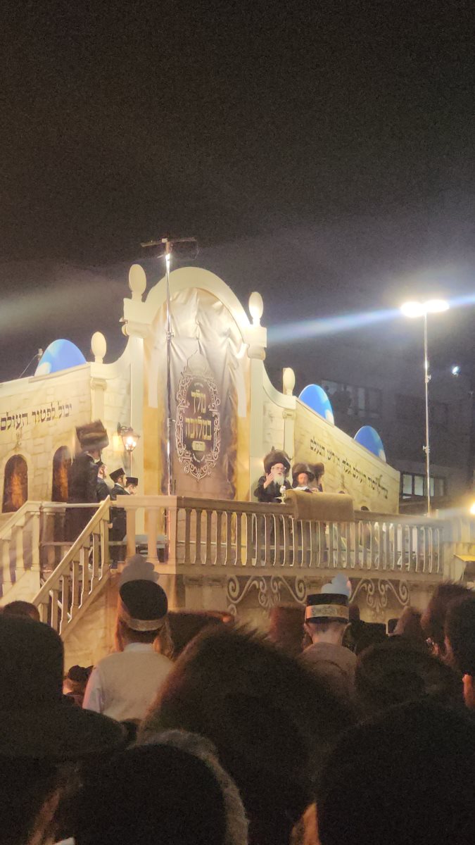 צילום: ישראל גליק