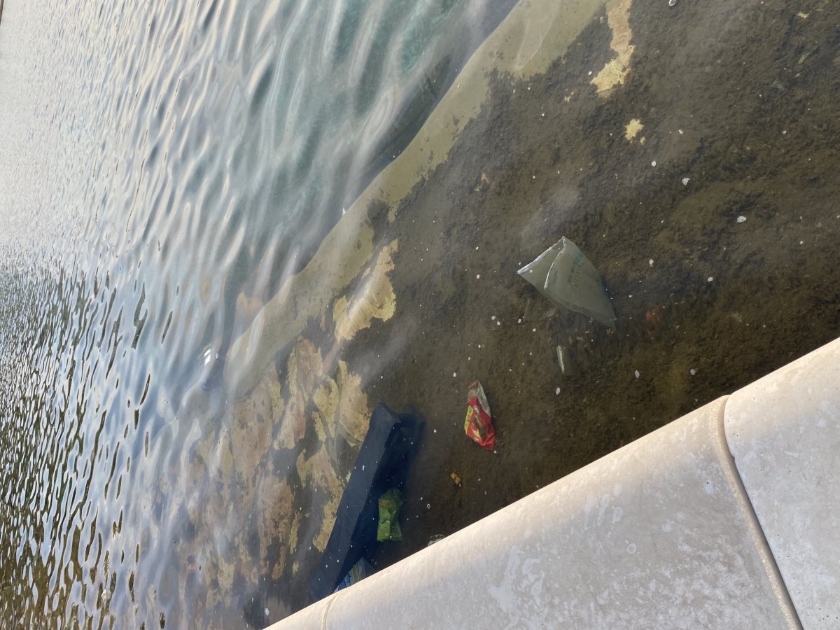 לכלוך שהגיע לתוך האגם במרינה