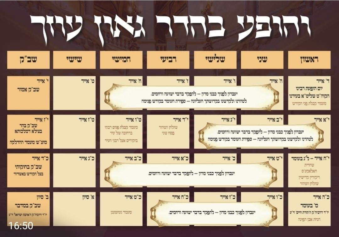 ויזניץ