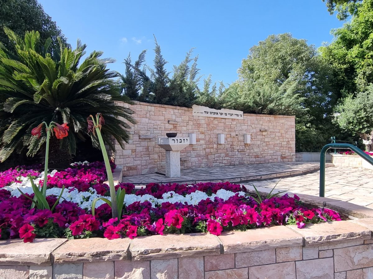 צילום ג'ני זרח