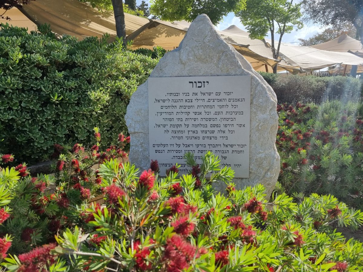 צילום ג'ני זרח