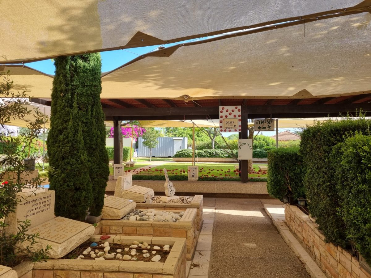 צילום ג'ני זרח