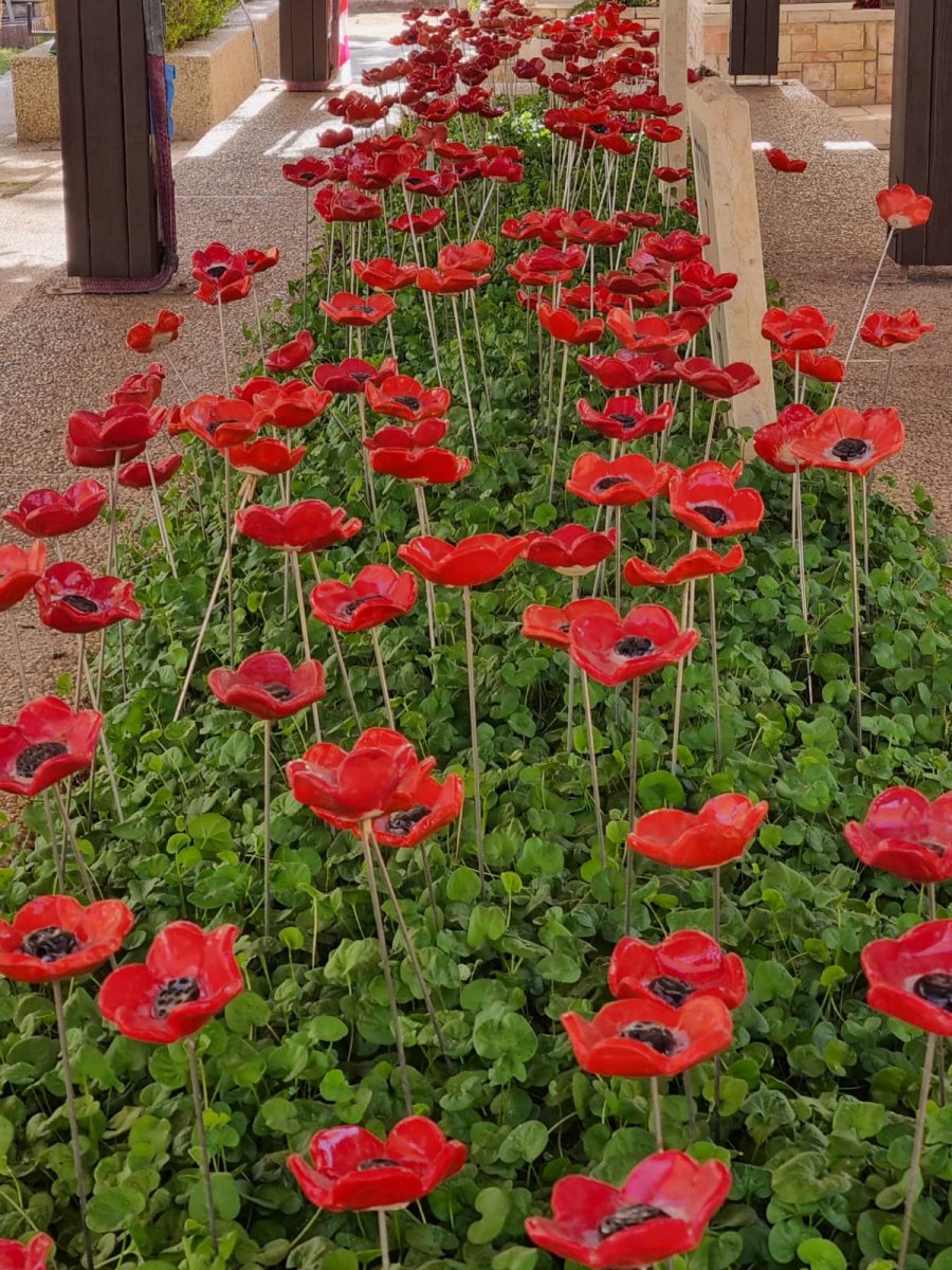 צילום ג'ני זרח