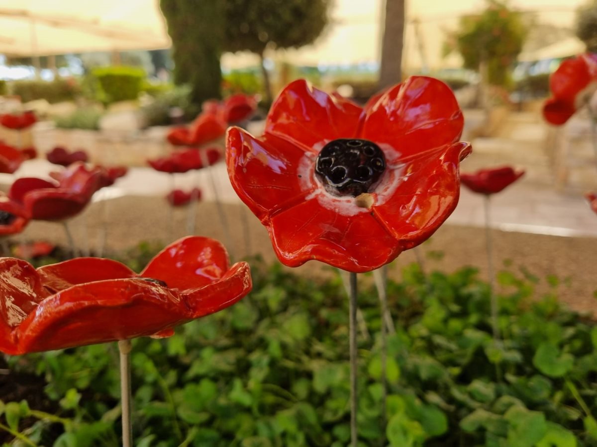 צילום ג'ני זרח