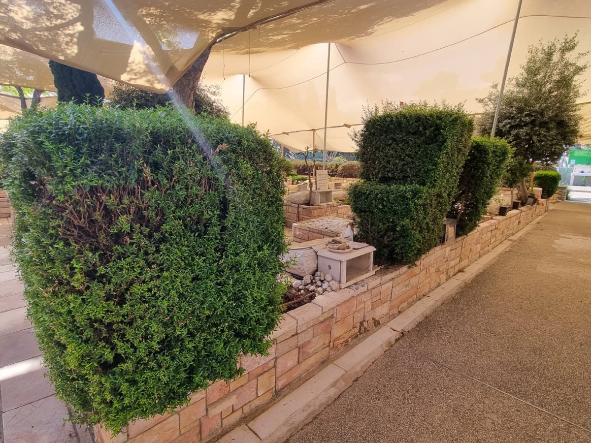 צילום ג'ני זרח