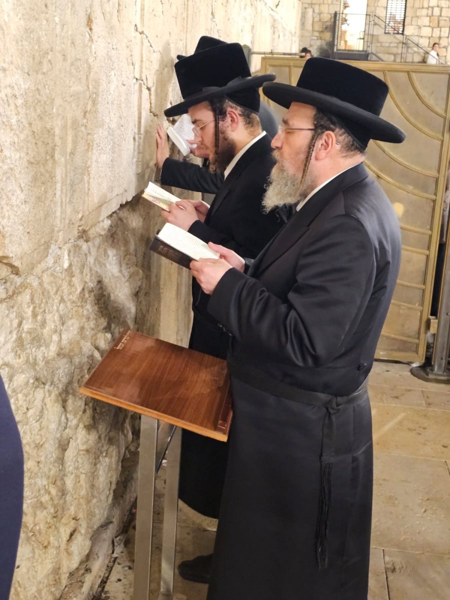 צילום: באדיבות המצלם