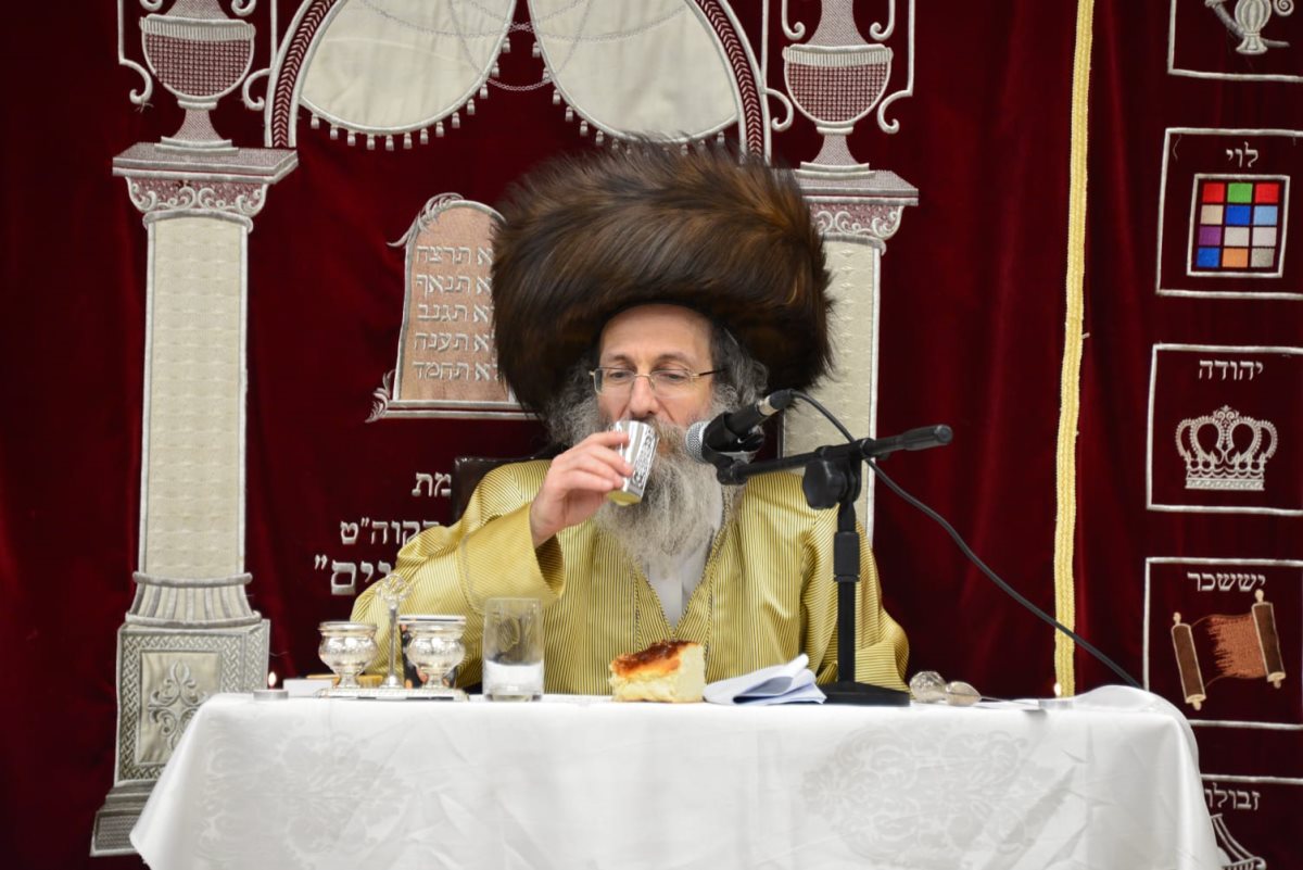 צילום: יוסי לוי