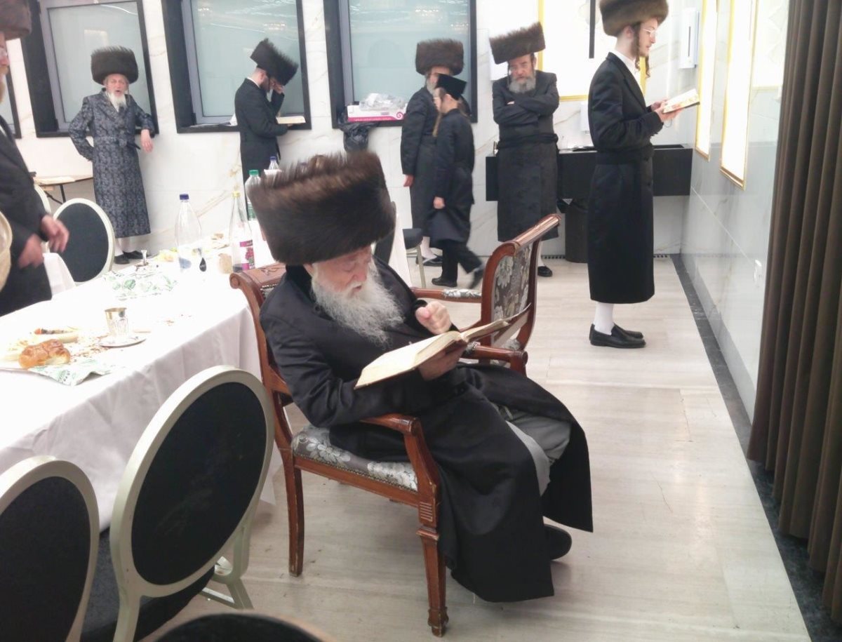 האדמור מהאלמין שליטא. מ&#39; מיכאלי