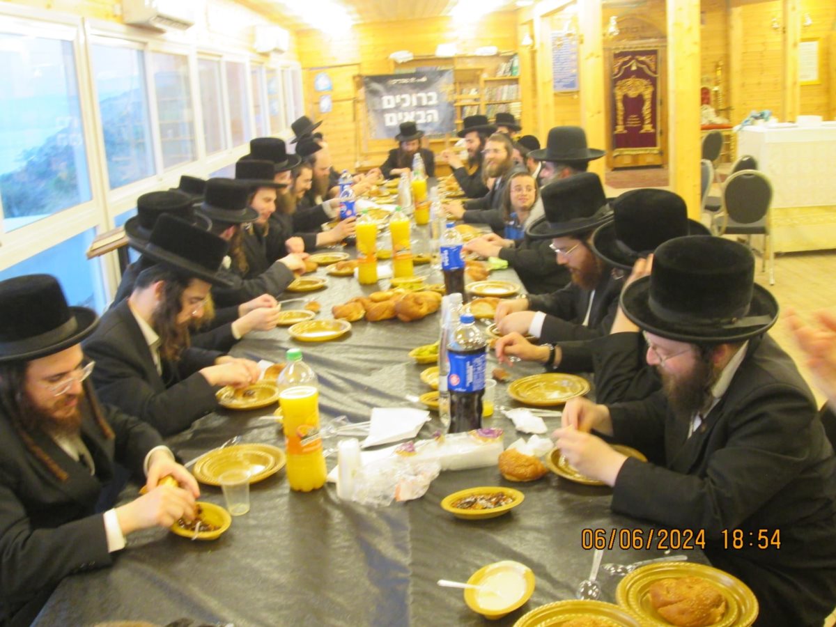 אברכי הכולל במירון. מאוגדים